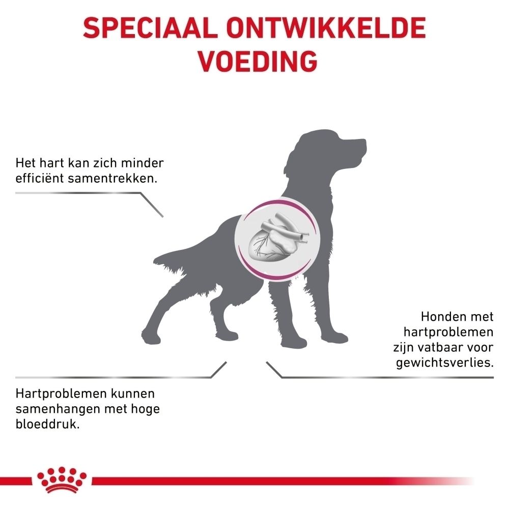 Hondenillustratie die de belangrijkste voedingsstoffen voor hartondersteuning uitlegt, zoals EPA, DHA en L-carnitine.