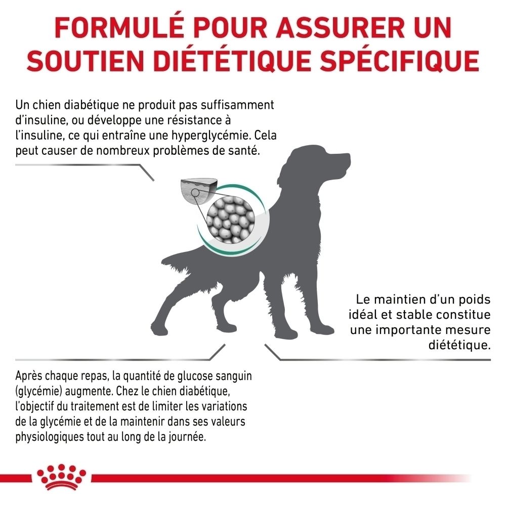 Sac de croquettes ROYAL CANIN Veterinary Diabetic, 12 kg, vu de côté.
