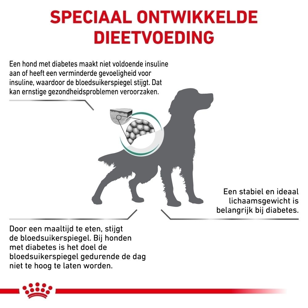 Zak ROYAL CANIN Veterinary Diabetic hondenvoer, 12 kg, van de zijkant gezien.