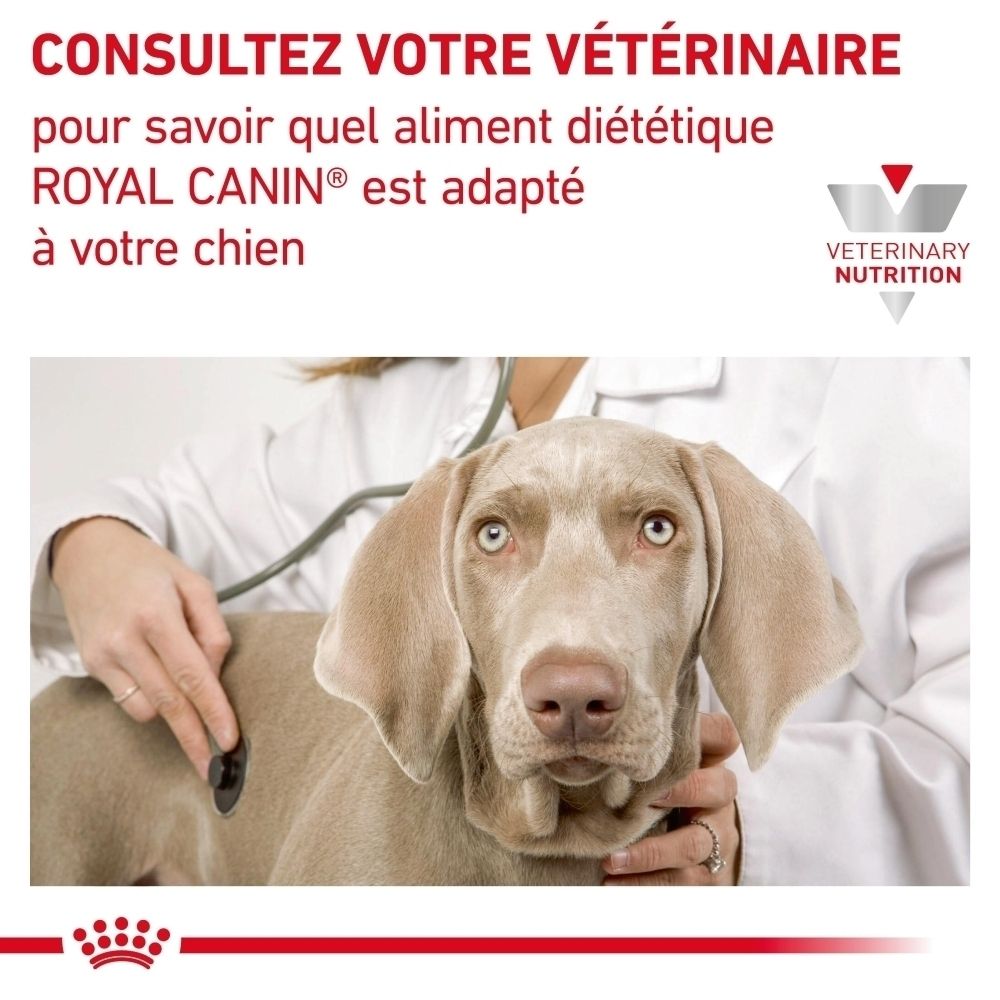 Sac de croquettes ROYAL CANIN Veterinary Diabetic avec image de chien.