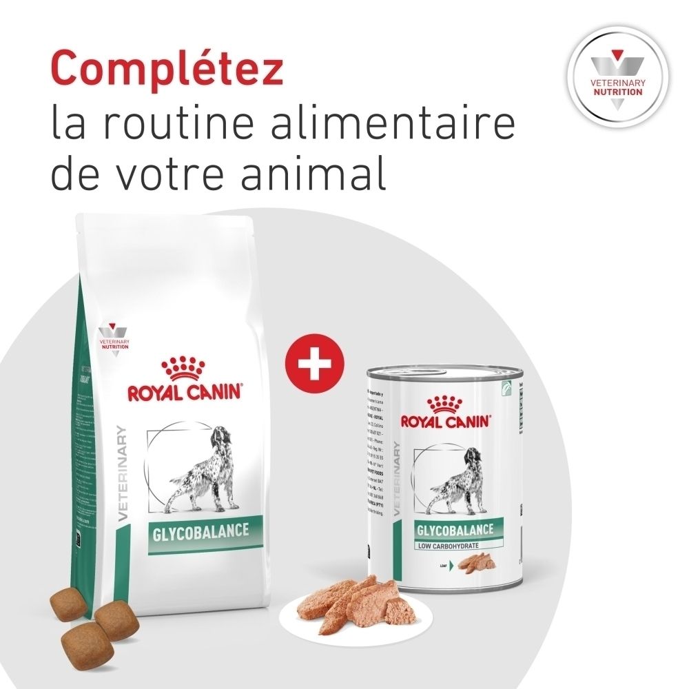 Graphique : Chien avec des icônes expliquant la composition nutritionnelle de ROYAL CANIN Veterinary Diabetic.
