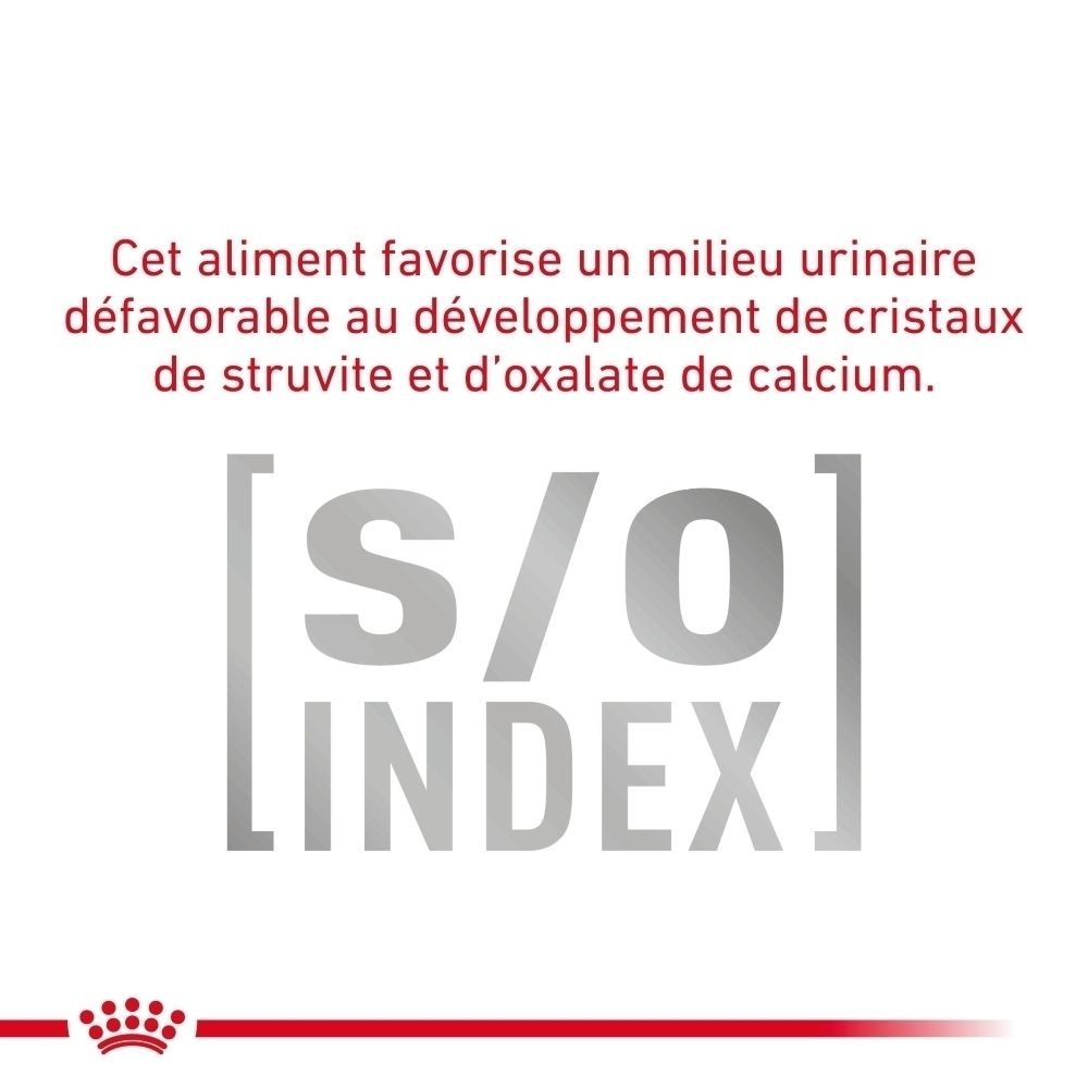 Boîte de nourriture vétérinaire ROYAL CANIN® Diabetic Special Low Carbohydrate.