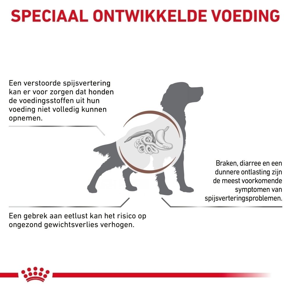 Royal Canin: Productvoordelen voor honden: spijsverteringsondersteuning, hoog energieniveau, hoge smakelijkheid.