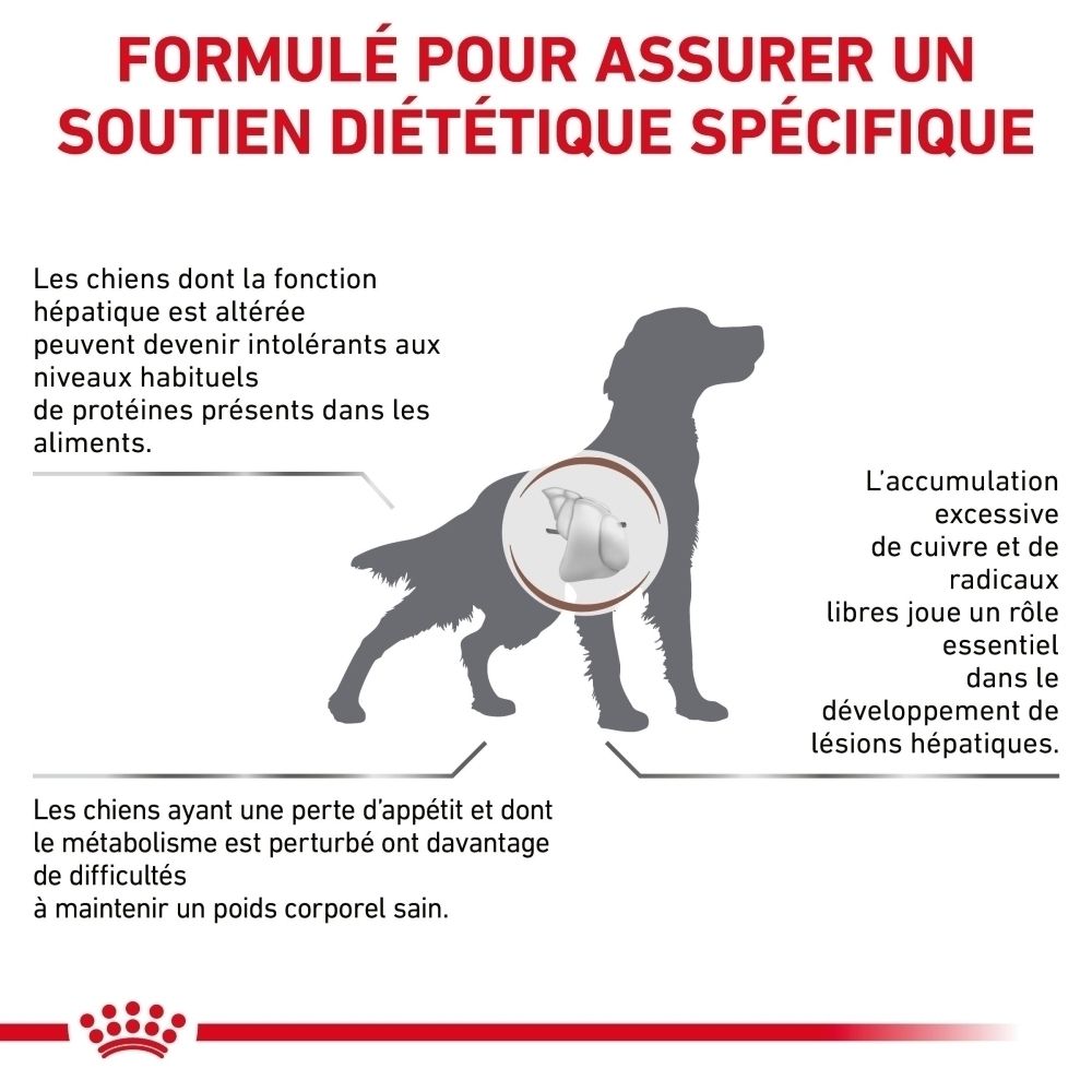 Graphique sur la nutrition développée scientifiquement pour chiens.