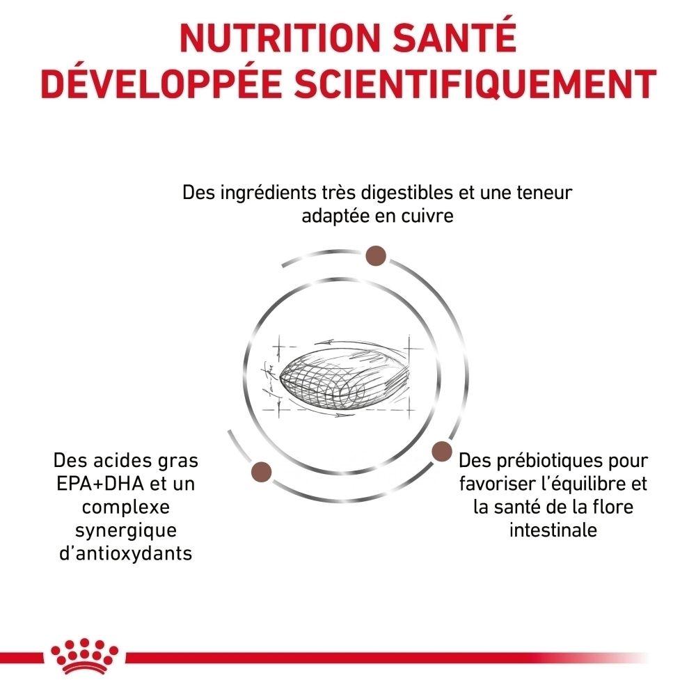 Graphique sur les avantages du produit Royal Canin Veterinary Hepatic.