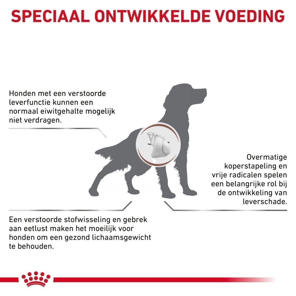 Zijaanzicht van een 12 kg zak ROYAL CANIN® Hepatisch hondenvoer.
