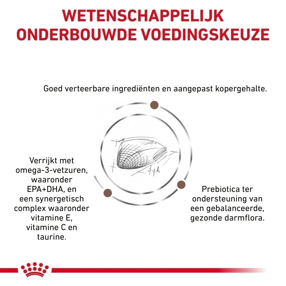 Zak ROYAL CANIN® Hepatisch hondenvoer van 12 kg met hondafbeelding.