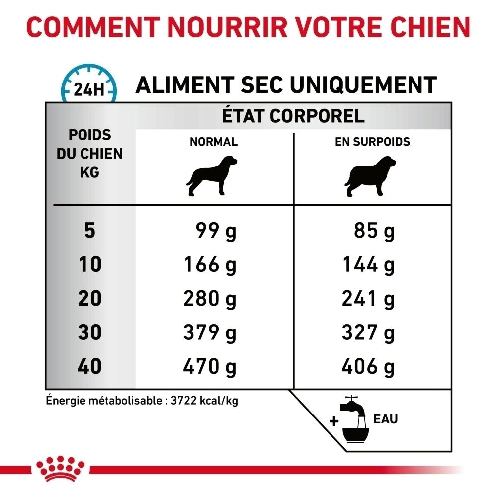 Sac de nourriture pour chien avec logo Royal Canin, inscription 'Hypoallergenic Moderate Calorie' et image de chien.