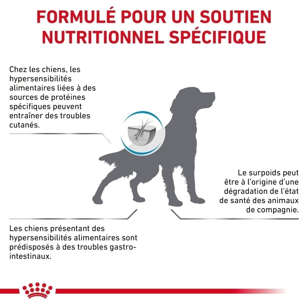 Chien avec icônes pour protéines hydrolysées, EPA/DHA et digestion saine.