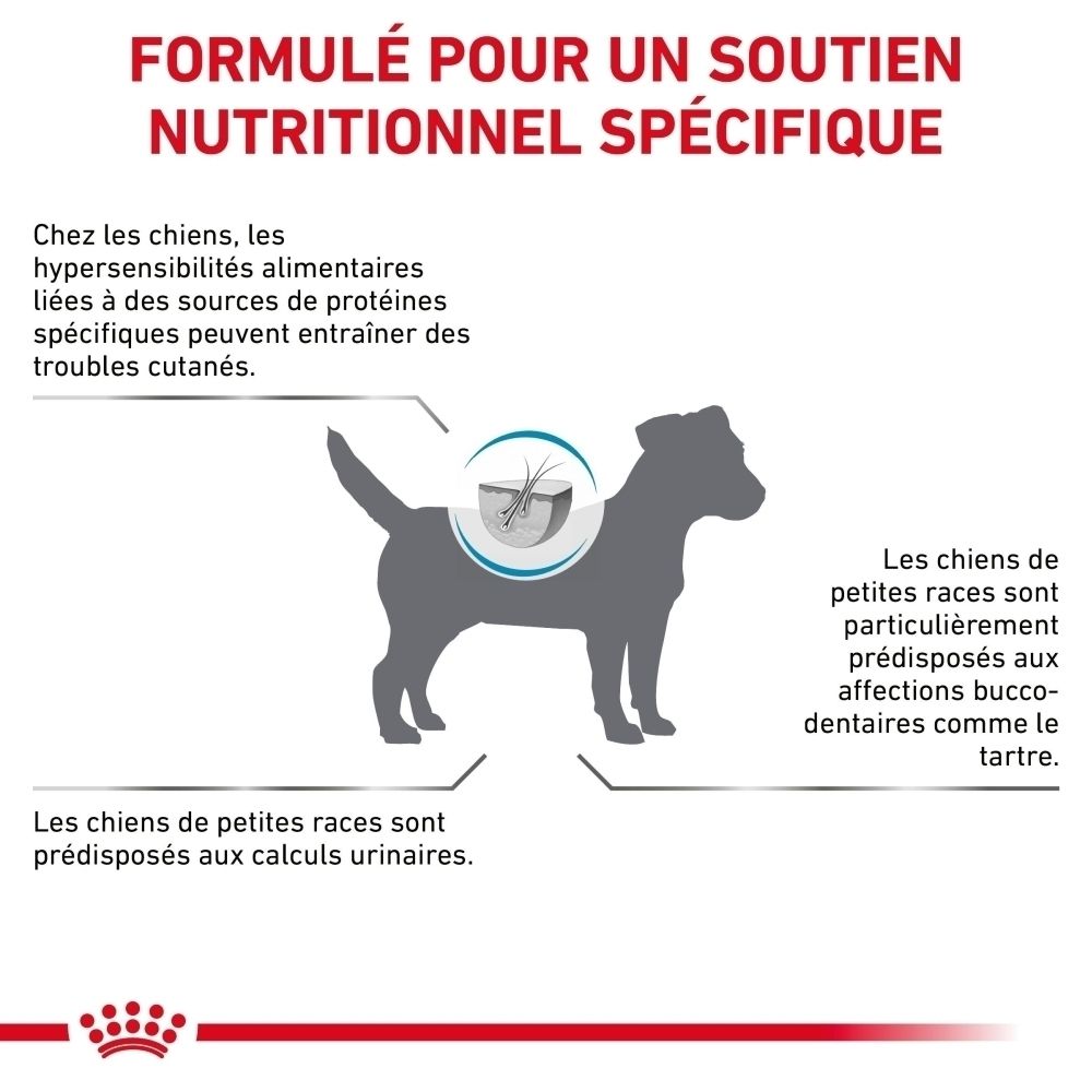 Sac de croquettes Royal Canin Hypoallergenic Small Dogs avec un Jack Russell Terrier.