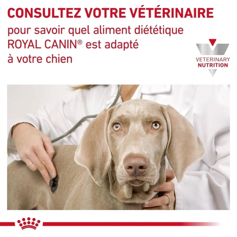 Sac de croquettes Royal Canin Veterinary Renal, verso avec informations nutritionnelles.