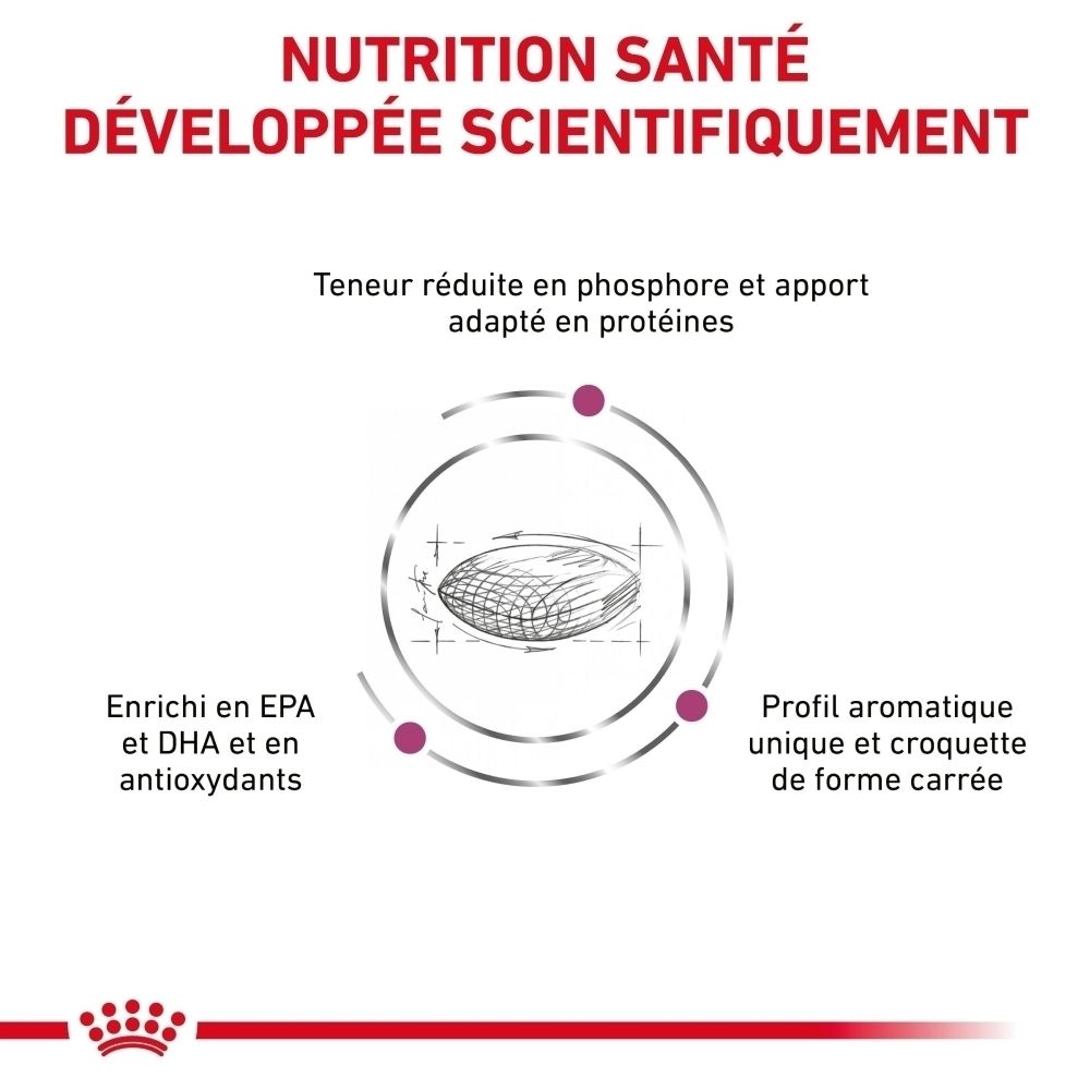 Graphique illustrant le développement scientifique de l'alimentation avec texte.