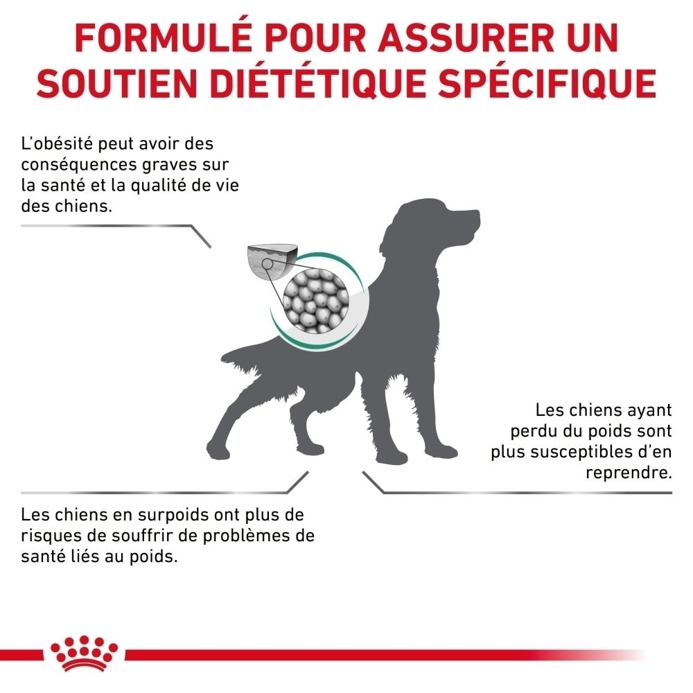Graphique sur la perte de poids chez les chiens avec Royal Canin Veterinary Satiety Weight Management.