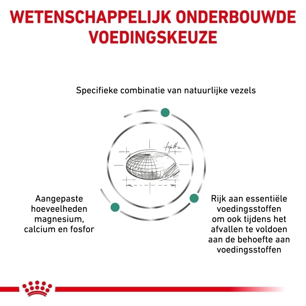 Grafiek die de dieetondersteuning van ROYAL CANIN® Satiety Weight Management voor honden uitlegt.