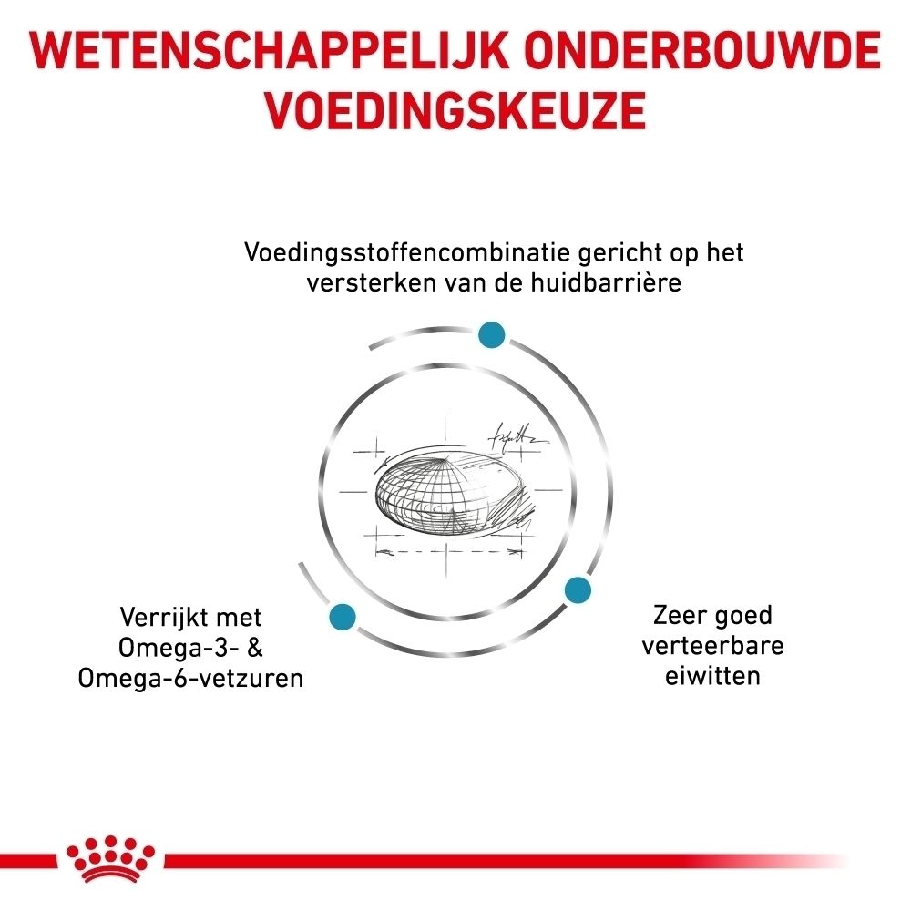 Royal Canin VET-D Skin Care Adult: Wetenschappelijk onderbouwde voedingskeuze.