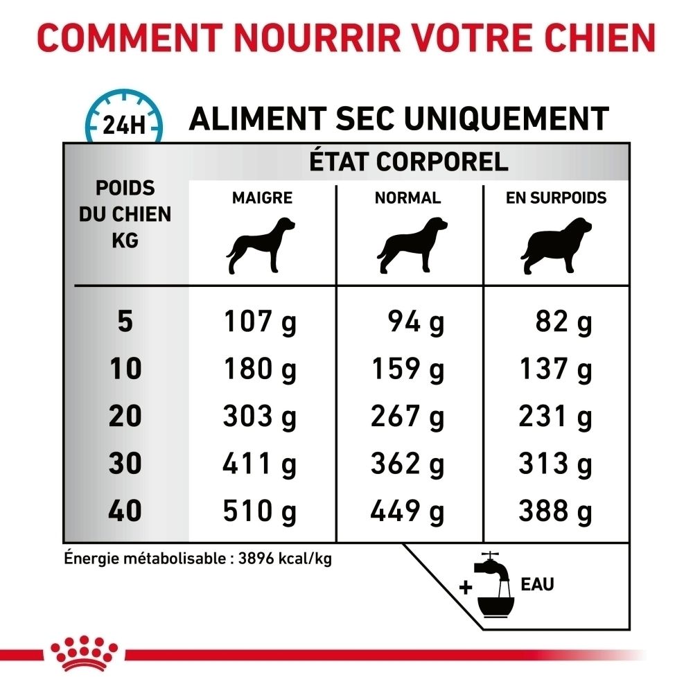 Royal Canin VET-D Skin Care Adult : Comment nourrir votre chien.