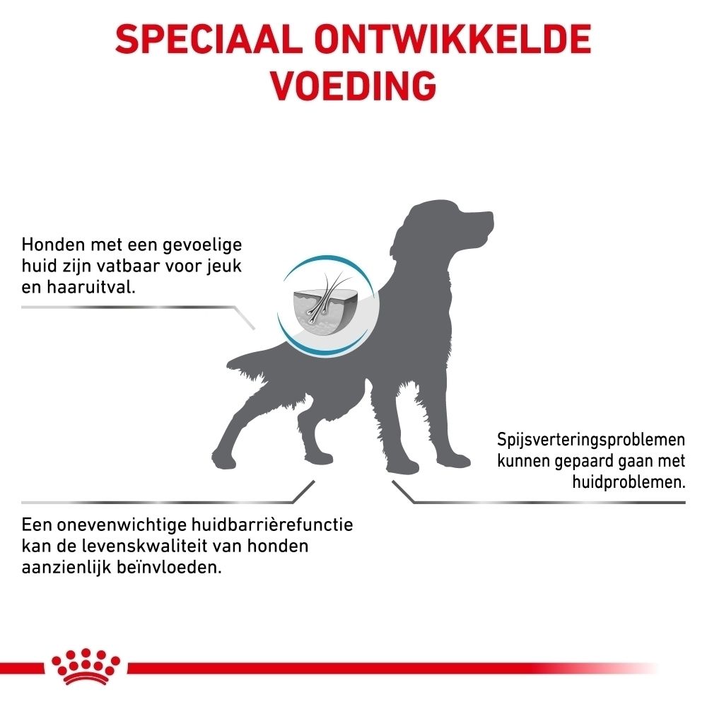 Royal Canin VET-D Skin Care Adult: Speciaal ontwikkelde voeding.