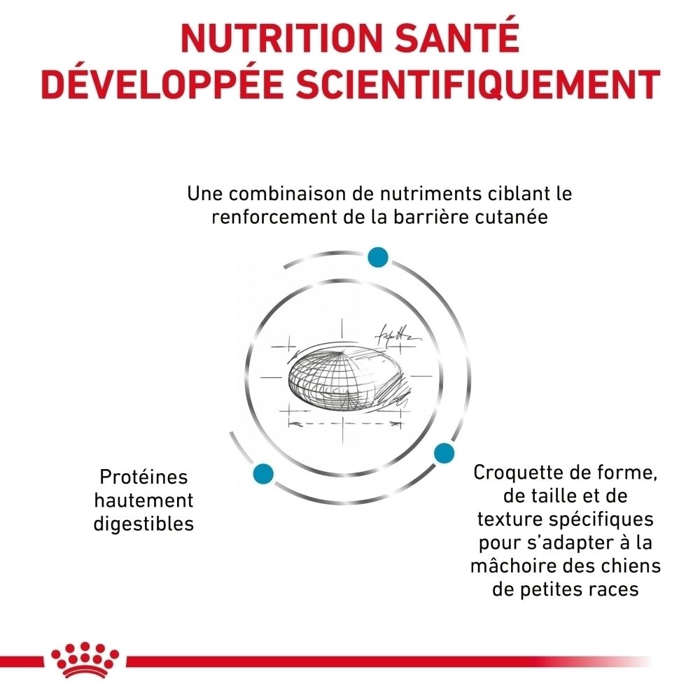 Graphique avec texte sur la nutrition canine développée scientifiquement, la digestibilité et la forme des croquettes pour petites races.
