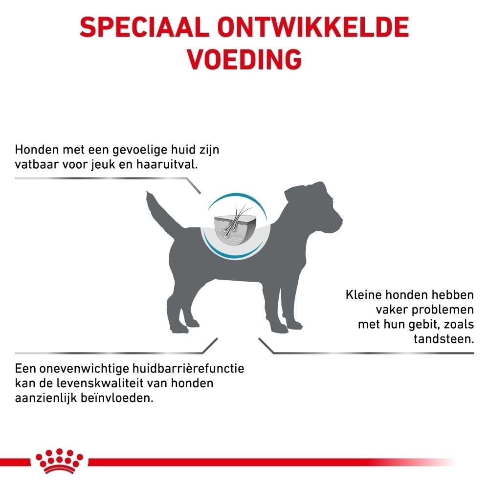 Illustratie van een hond gericht op huidgezondheid, toont een vergroot huidbeeld met haar en jeuk.