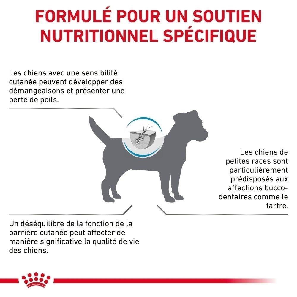 Graphique d'un chien avec des mises en évidence pour la santé de la peau et des dents. Texte sur le soutien nutritionnel spécifique.