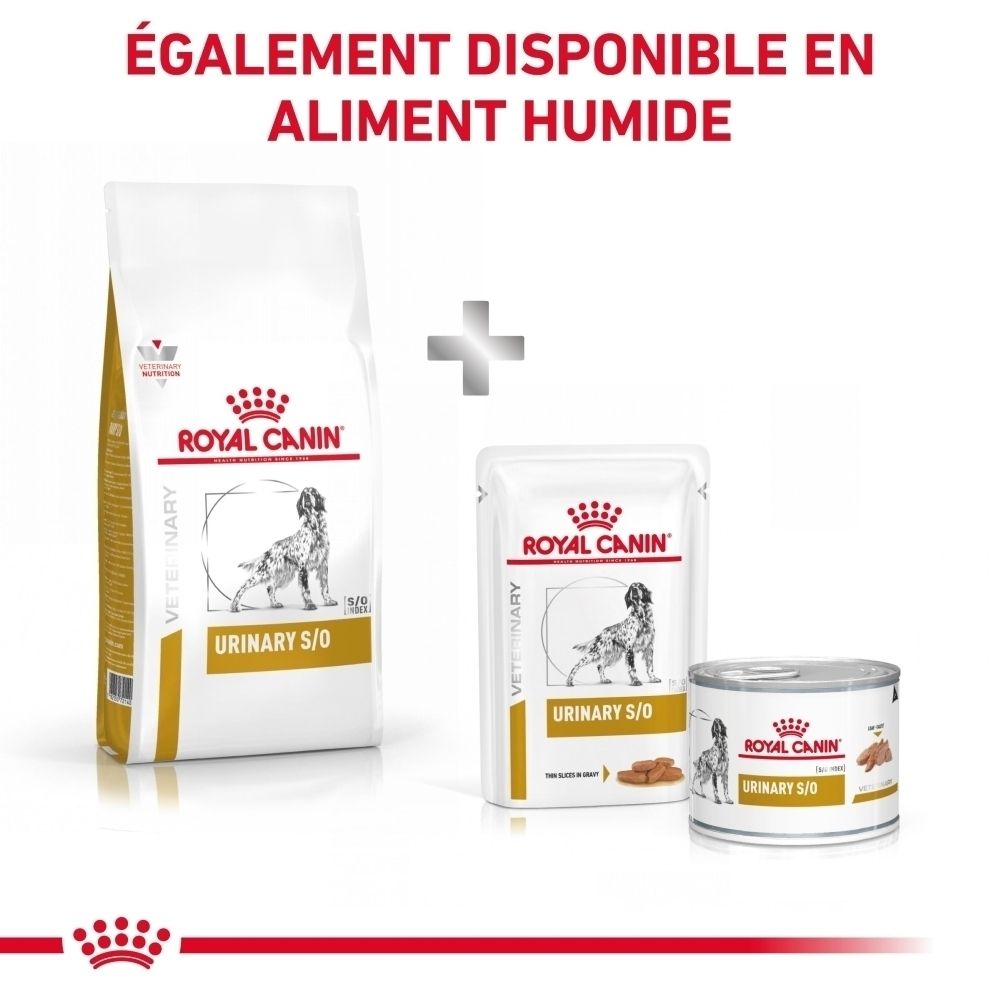 Avant d'un paquet de nourriture pour chien ROYAL CANIN VETERINARY URINARY S/O avec image de chien et nom du produit.
