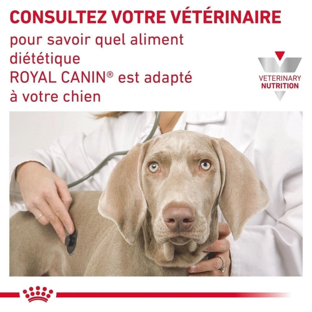 Présentation des aliments secs et humides ROYAL CANIN® Urinary S/O pour chiens.