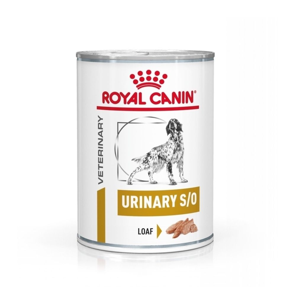 Une boîte de nourriture pour chien ROYAL CANIN® Urinary S/O.
