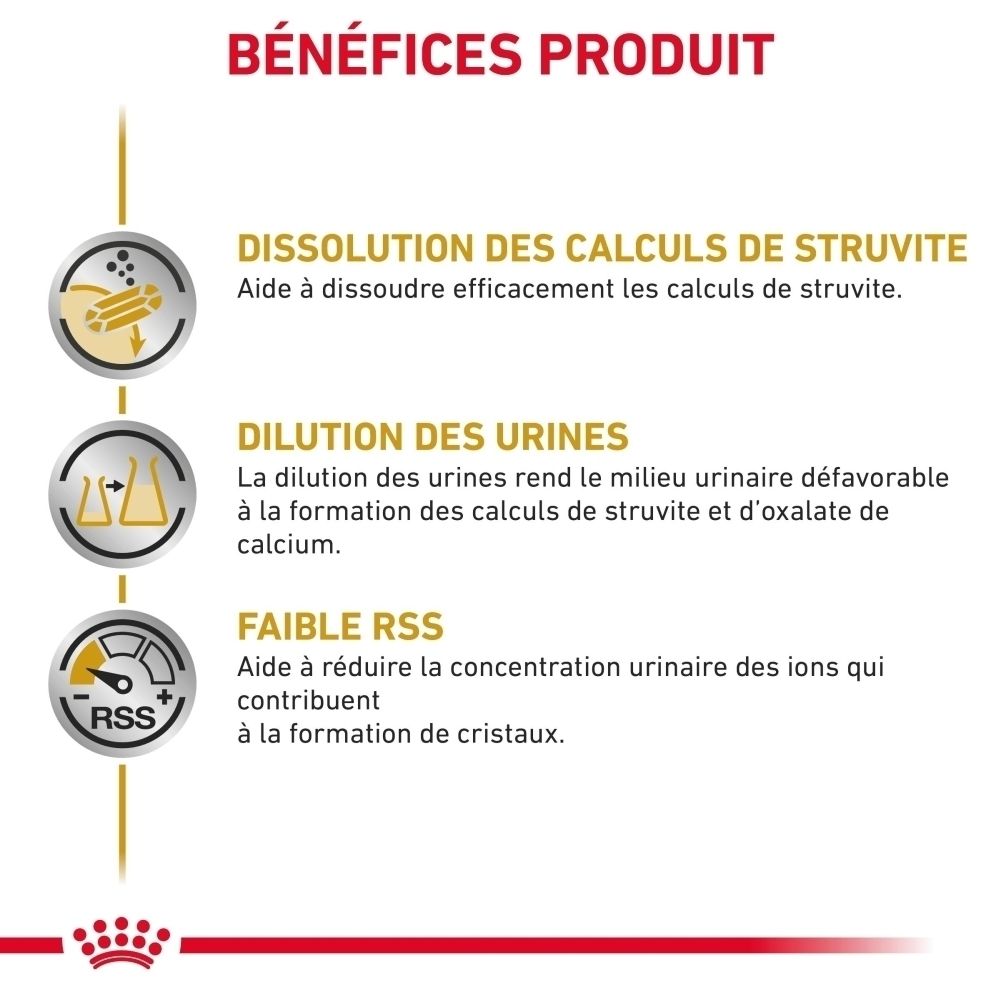 Une boîte de nourriture pour chien ROYAL CANIN® Urinary S/O.