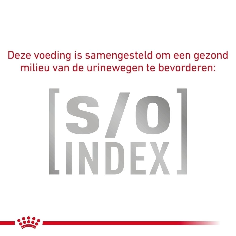 Een blik ROYAL CANIN® Urinary S/O hondenvoer.