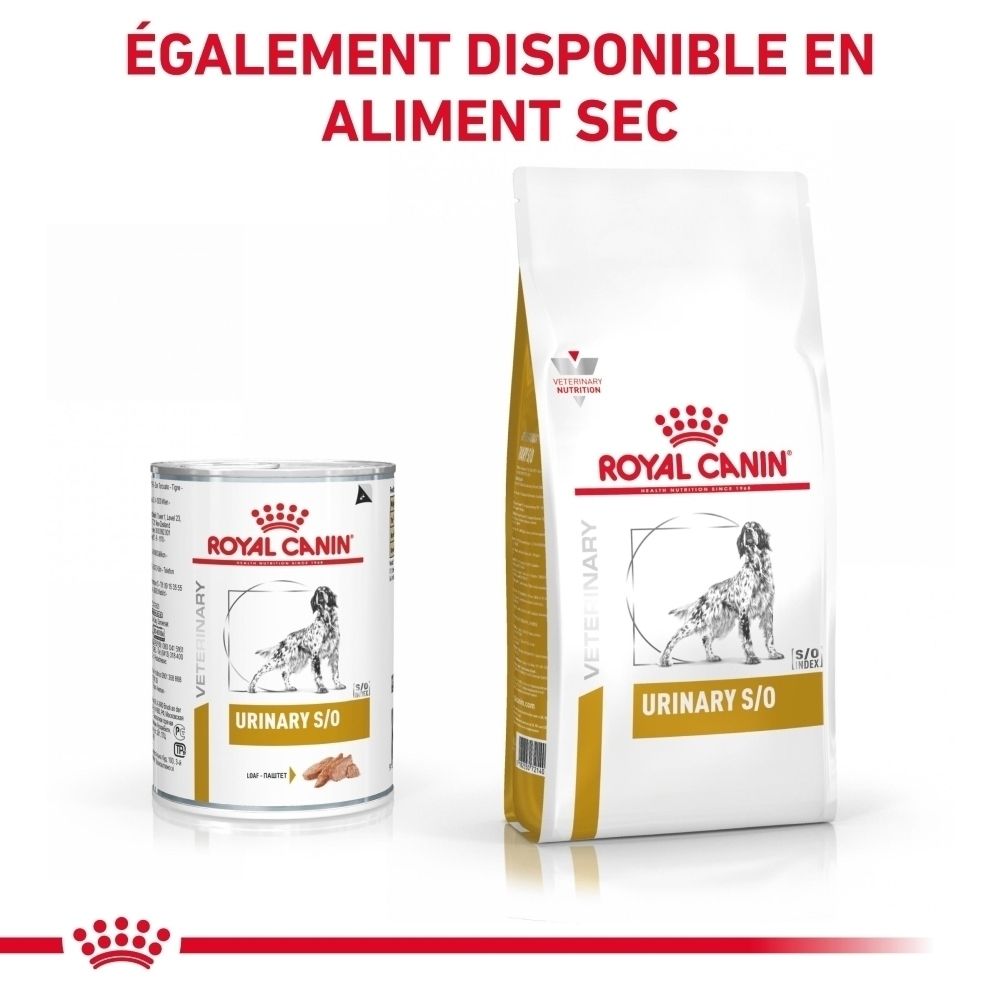 Une boîte de nourriture pour chien ROYAL CANIN® Urinary S/O.