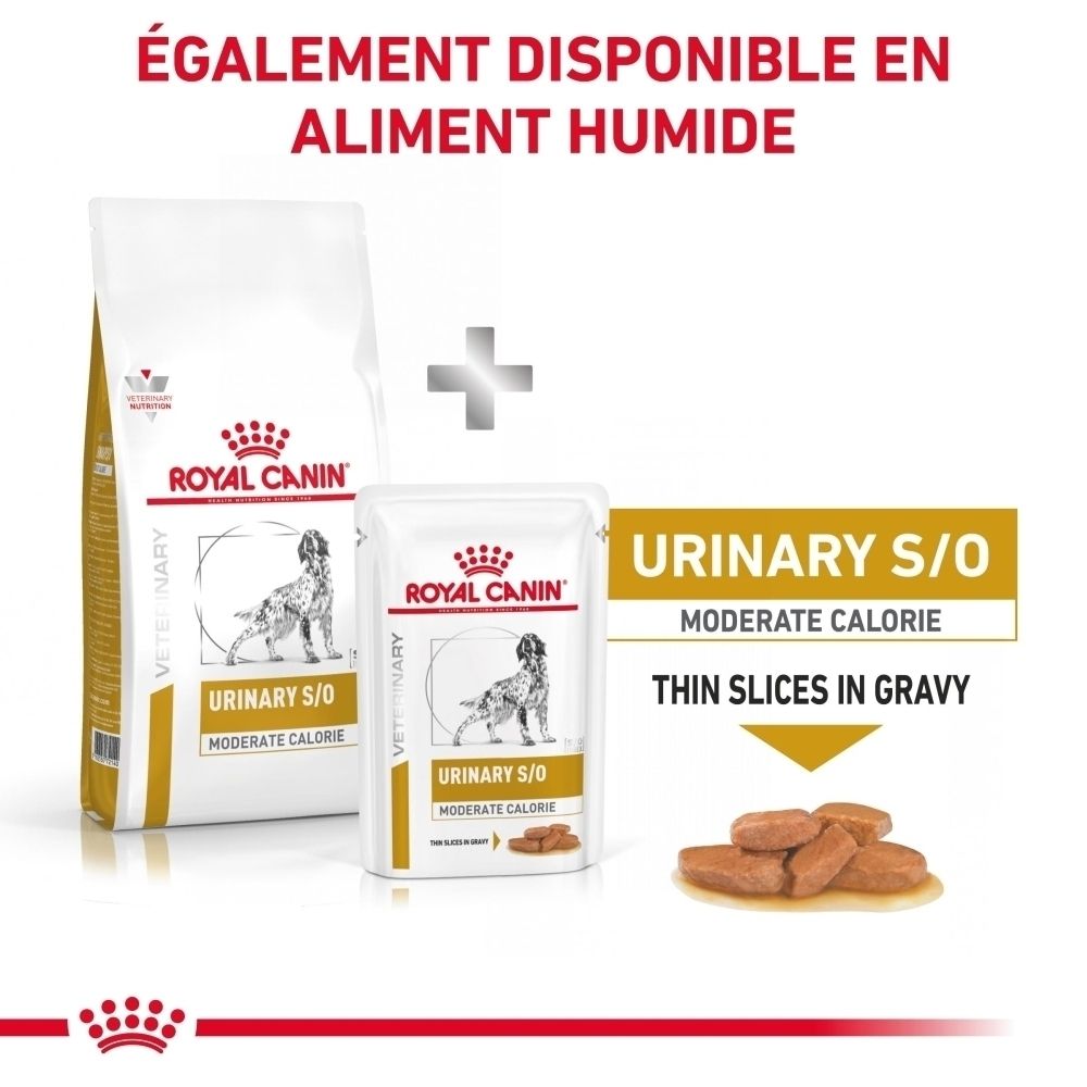 Nourriture Royal Canin Urinary S/O Moderate Calorie pour chien : sac de croquettes et sachet de nourriture humide avec image de chien.
