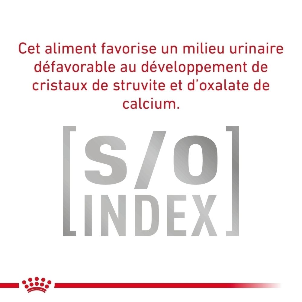 Informations sur les avantages de la nourriture pour chien Royal Canin Urinary S/O Moderate Calorie.