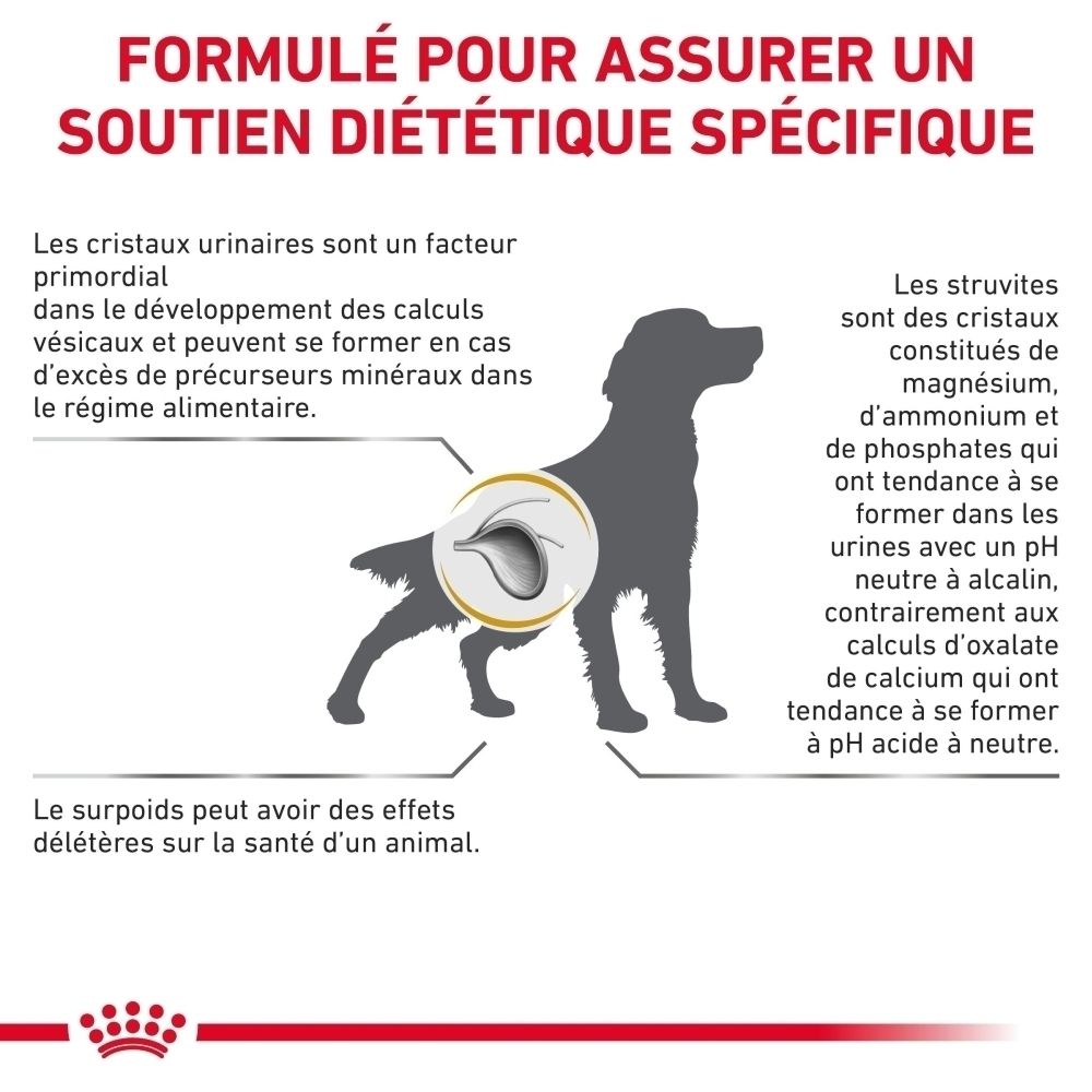 Comparaison de la nourriture sèche et humide Royal Canin Urinary S/O Moderate Calorie.