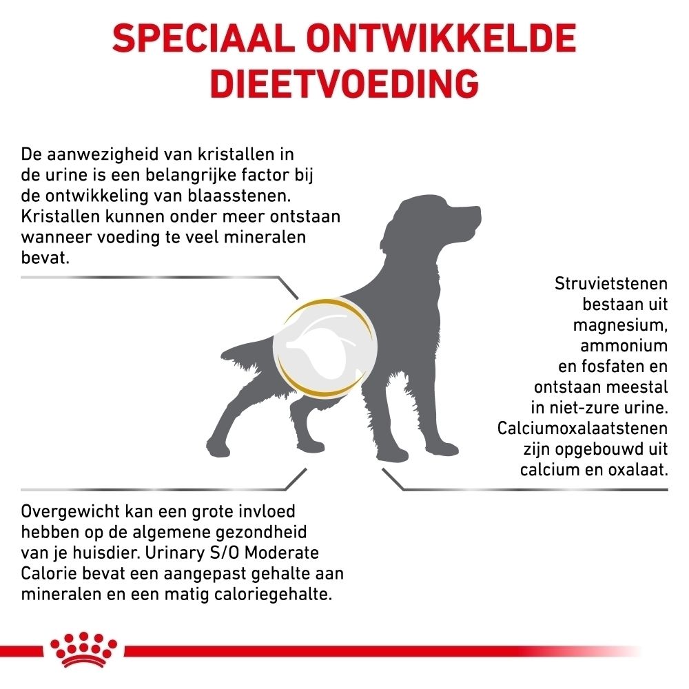 Vergelijking van droog- en natvoer Royal Canin Urinary S/O Moderate Calorie.