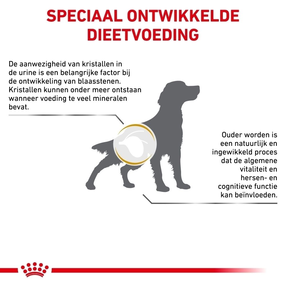 Zak van 3,5 kg Royal Canin VET-Diet Urinary S/O Ageing hondenvoer.