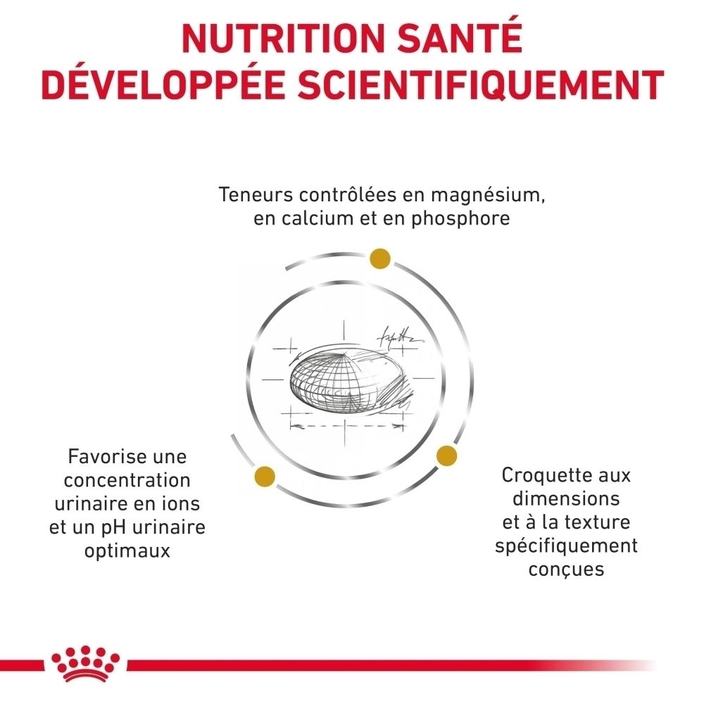 Royal Canin : Nutrition scientifiquement développée pour chiens.