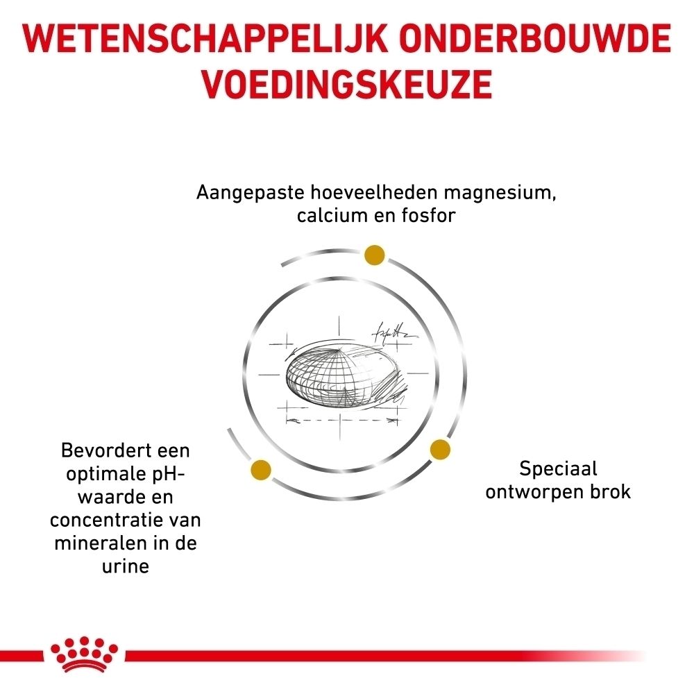 Royal Canin: Wetenschappelijk ontwikkelde voeding voor honden.