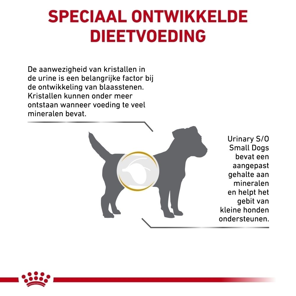 Royal Canin: Speciaal ontwikkelde dieetvoeding voor honden.