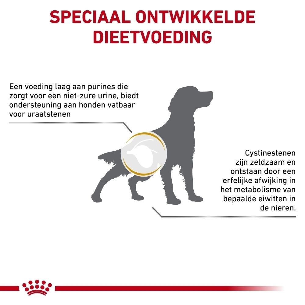 Schema dat de urinewegenondersteuning bij honden met Royal Canin Urinary U/C illustreert.