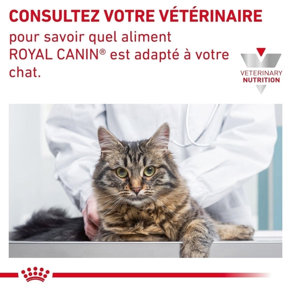 Royal Canin Anallergenic : Nutrition spécifiquement formulée pour chats.