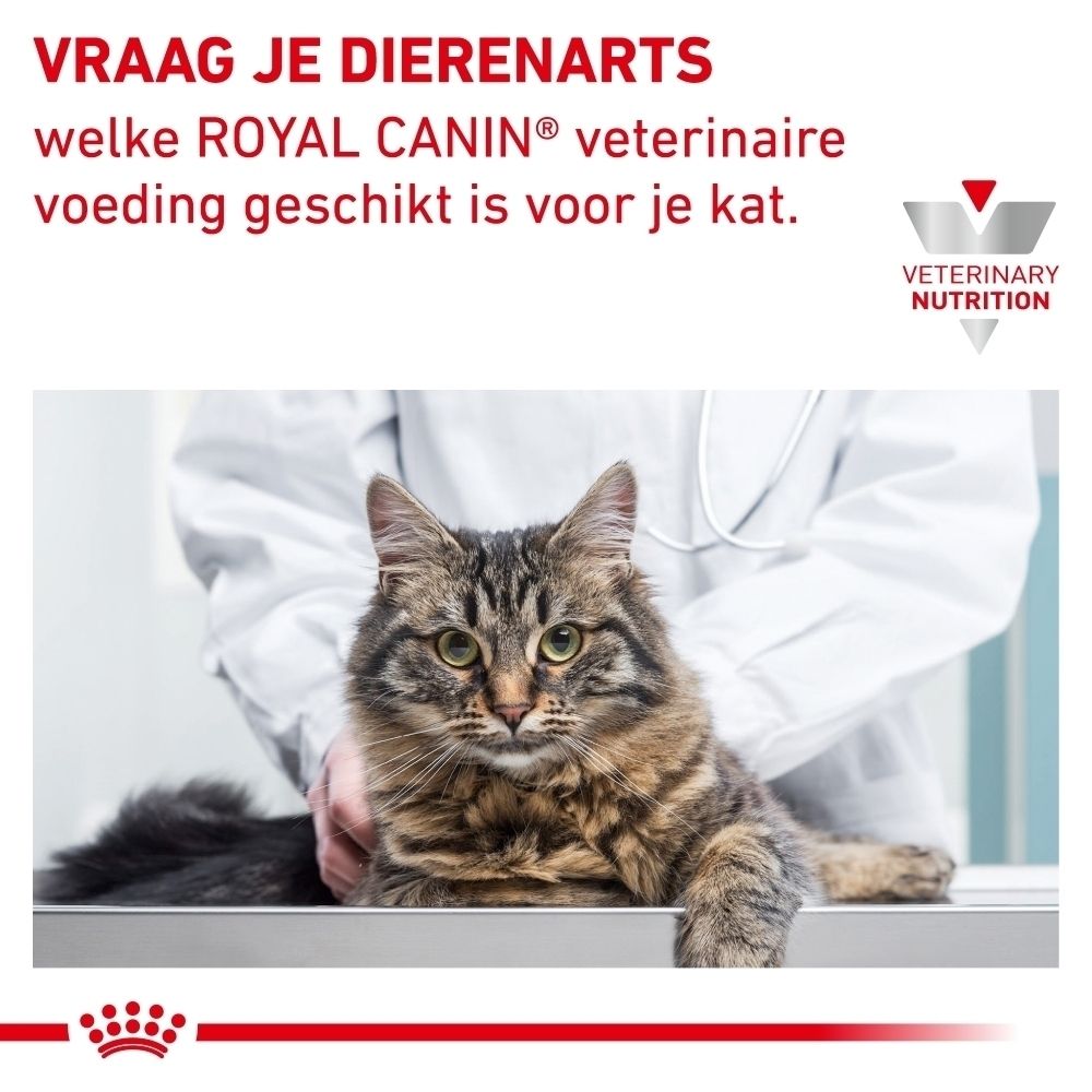 Royal Canin Anallergenic: Speciaal ontwikkelde voeding voor katten.