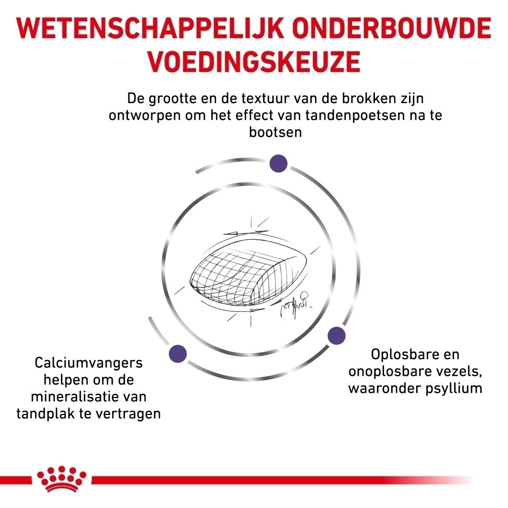Illustratie van brokken met uitleg over calciumvangers en oplosbare/onoplosbare vezels.