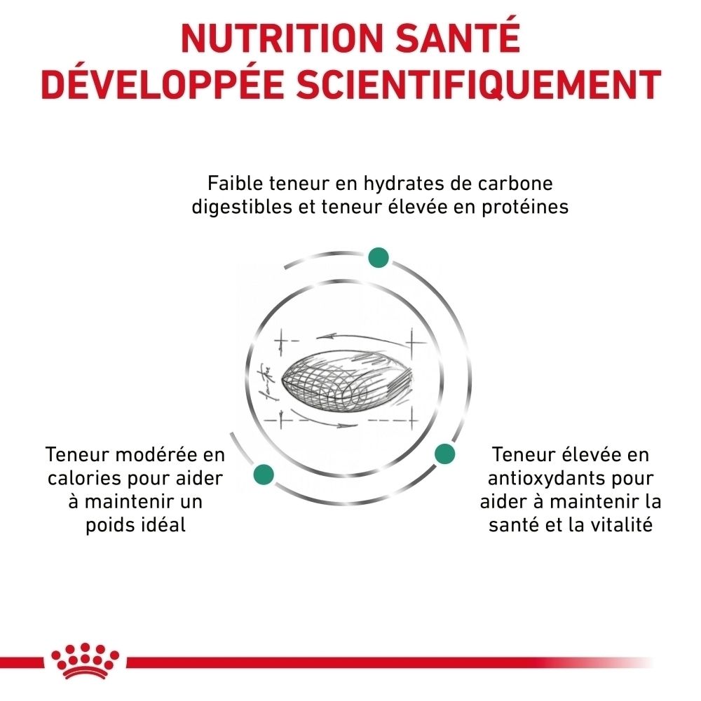 ROYAL CANIN Veterinary Diabetic nourriture pour chat, sac de 1.5 kg, vue arrière.