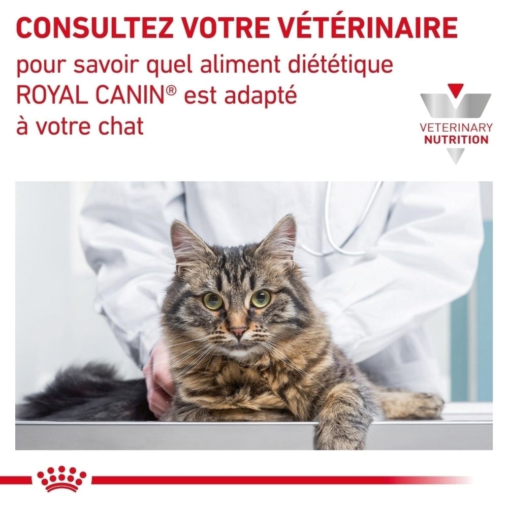 ROYAL CANIN Veterinary Diabetic nourriture pour chat, sac de 1.5 kg.