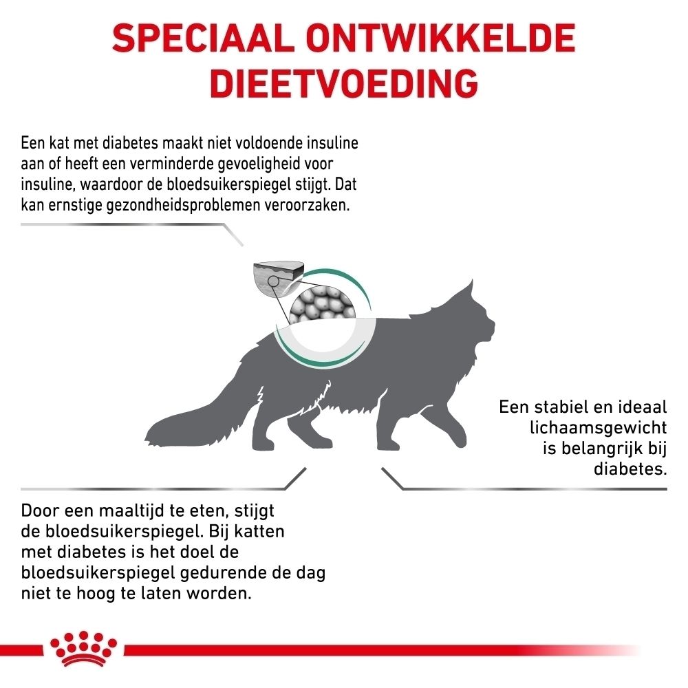 Royal Canin Veterinary Diabetic kattenvoer zak, achterkant met voedingsinformatie.