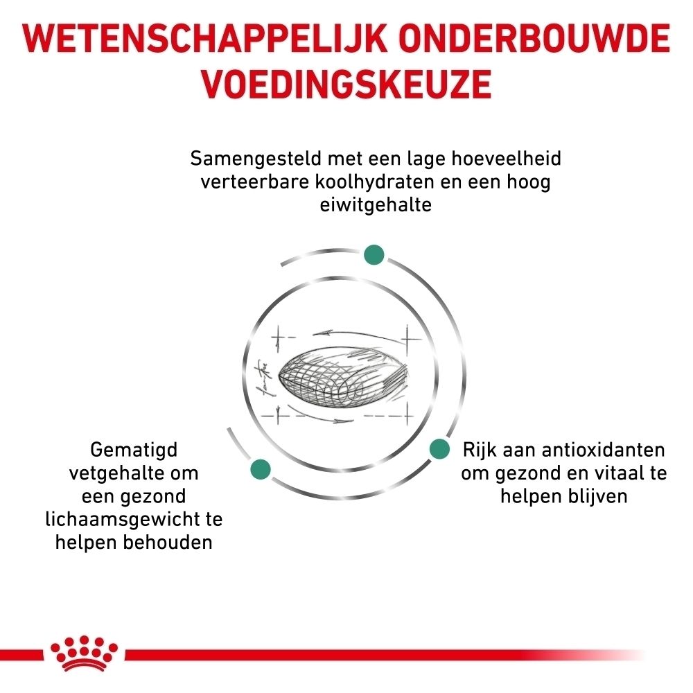 Royal Canin Veterinary Diabetic kattenvoer zak, achterkant met voedingsinformatie.