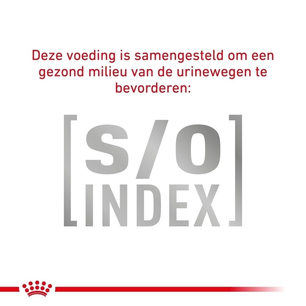 Royal Canin Veterinary Diabetic kattenvoer zak, achterkant met voedingsinformatie.