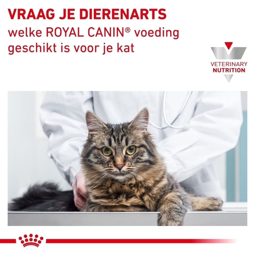 Royal Canin Veterinary Diabetic kattenvoer zak, achterkant met voedingsinformatie.