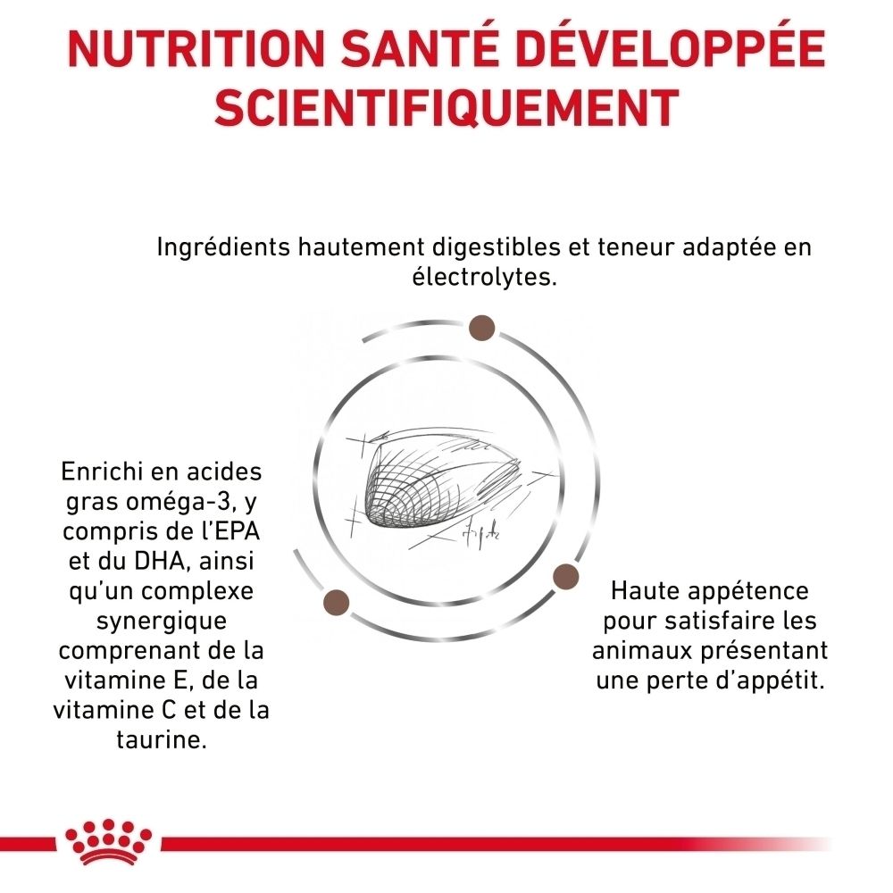 Vue latérale d'un paquet de nourriture pour chats ROYAL CANIN® Veterinary Gastrointestinal.
