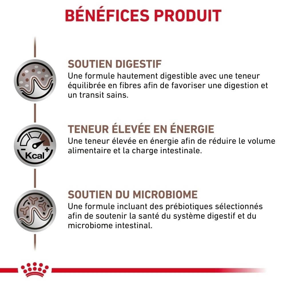 Arrière d'un paquet ROYAL CANIN® Veterinary Gastrointestinal avec instructions d'alimentation et ingrédients.
